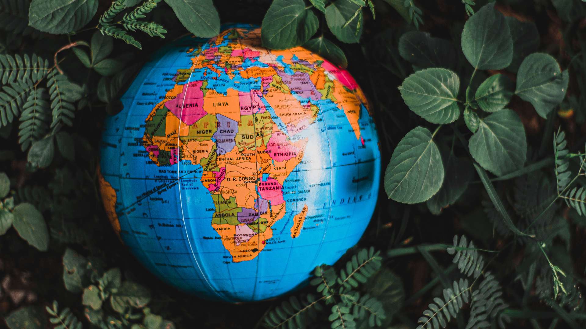 expérience internationale