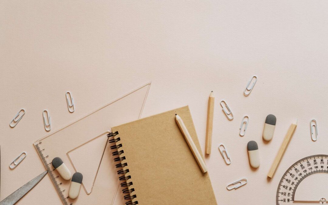 La validation des acquis de l&rsquo;expérience (VAE) comme outil de réorientation